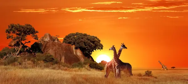 Serengeti National Park