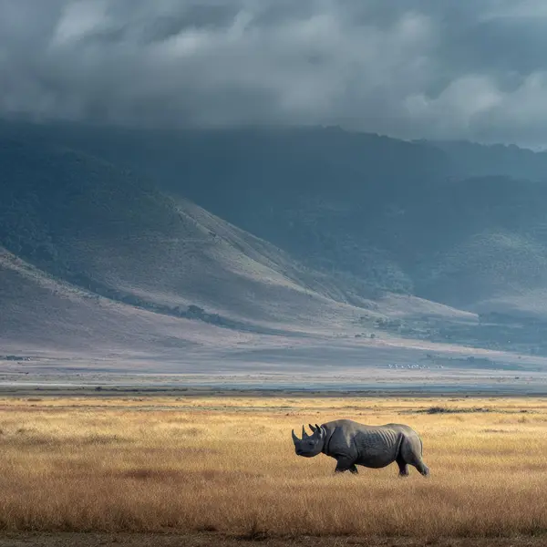 Ngorongoro Crater