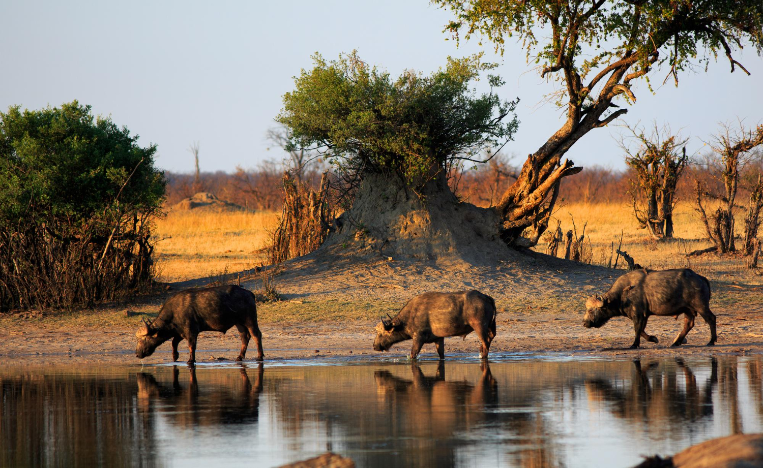 Serengeti National Park