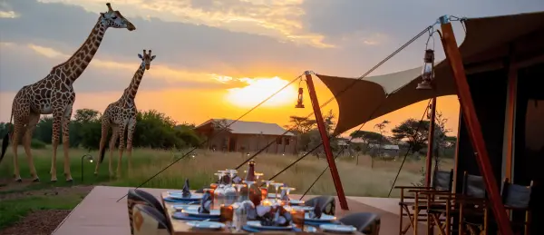 3 Day Safari From Zanzibar